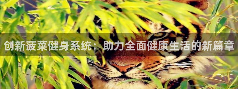 凯捷体育官方网站