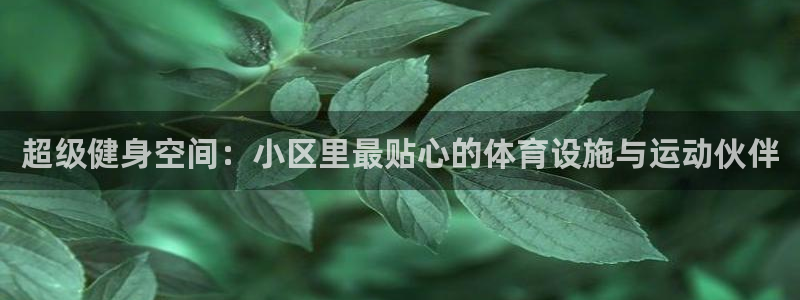 凯捷体育招商
