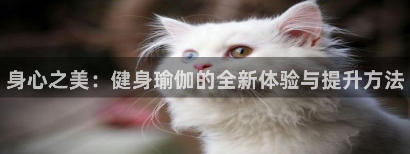 凯捷体育平台