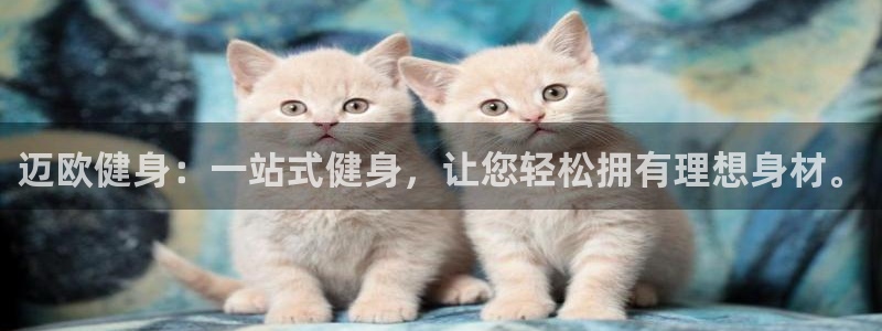 凯捷体育官方网站